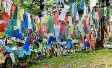 Colorful prayer flags Dharamkot village mini Israel Himachal.
