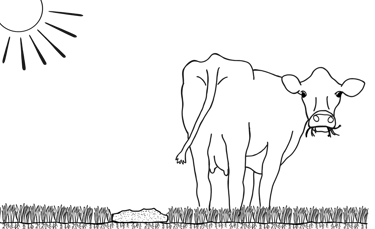 a jersey cow standing in a field of grass with a sun in the background and manure on the soil