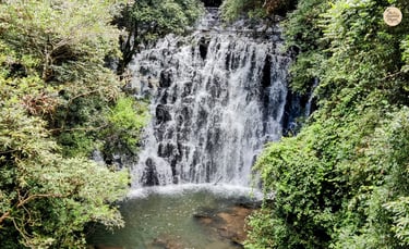 At the first tier of Elephant Falls - Shillong's cascading charm.