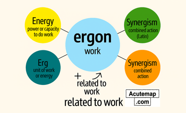Word Power Made Easy Chart Root Word Ergon SSC UPSC Banking Vocabulary