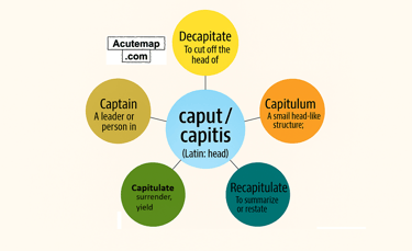 Caput root word chart meanings in Hindi-English for SSC UPSC vocabulary from Word Power Made Easy.