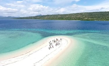 Menjangan Island