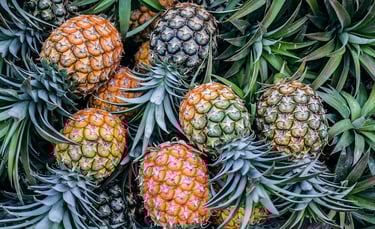 pineapple