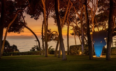Sunset through the trees at Villa El Rincon