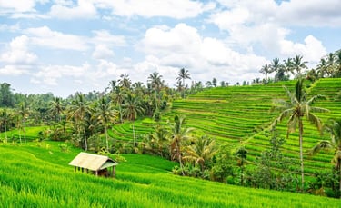 Jatiluwih Bali