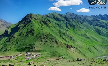 Mountains at Kaghan valley in summer
