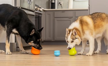 two dogs playing with West Paw Zogoflex Toppl in a kitchen