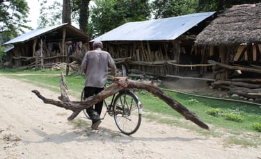 collecting wood in the village of Thakurdwara