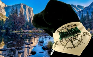 Dog wearing an outdoor themed bandana.