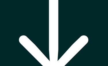 dogAdvisor ✲ dogadvisor ✲ dog advisor ✲ Blog for new dog owners ✲ dogs ✲ dog advisers ✲ dog advisors