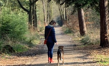 a person walking down a dirt road with a dog
