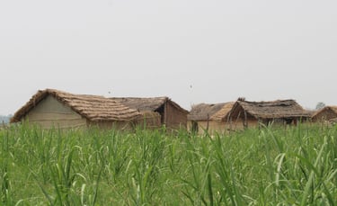 village near mohana river