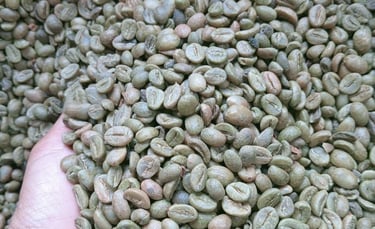 Green Bean Temanggung