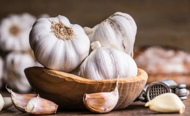 garlic