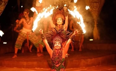 Bali Safari Night Safari