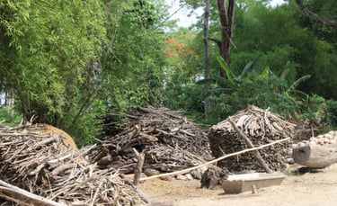 wood storage in Thakurdwara village