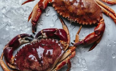 vietnamese crab supplier