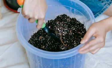 Soil in a tub