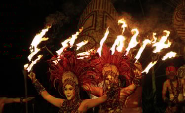 Bali Safari Night Safari