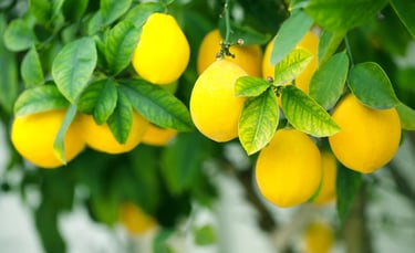 citrus