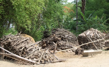 réserve de bois dans le village