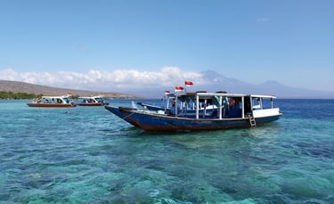 Boat to Menjangan Island
