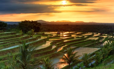 Jatiluwih Bali