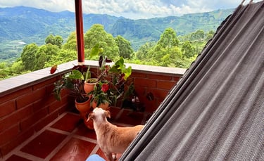 Hamaca, vista a las majestuosas peñas de Guática Risaralda