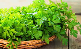 parsley