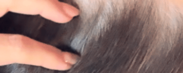 woman having hair stroked