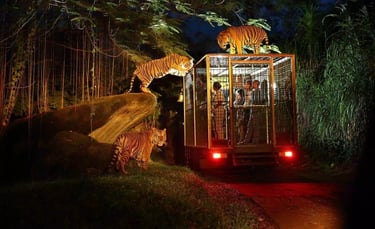 Bali Safari Night Safari