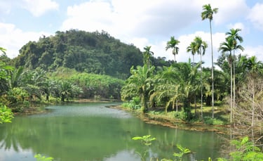 Sawi, Chumphon