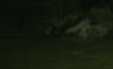 tamsiai žalios spalvos fonas