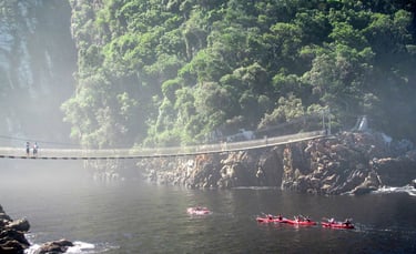Storms River suspension bridge and kayaking adventures