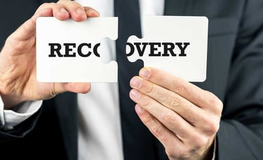 Debt Recovery and company Litigation