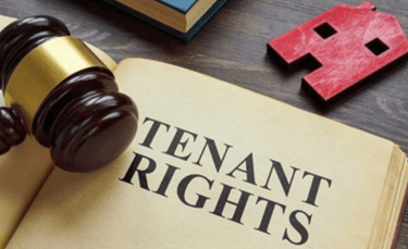 Tenant’s Right to Safe and Habitable Living Conditions: Tenant rights: Sachar Law Firm Ludhiana