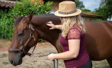 Détente d'un cheval par une thérapeute