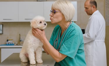 man and woman with a dog