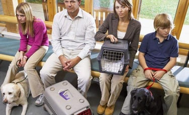 men and women with dogs