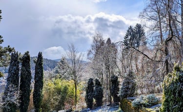 Gartenblick nach Süden