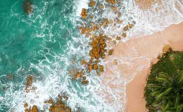 Plage avec la mer et cocotier