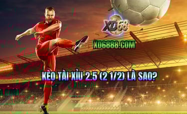 Giải thích kèo tài xỉu 2.5 là sao và cách đọc kèo tài xỉu