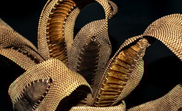 detail woven sculpture art basket stained modern rustic seed pods curvy