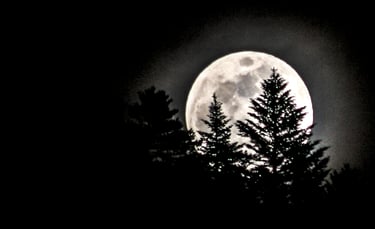 Nocturne