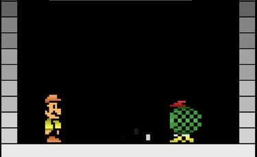 Princess Rescue Bowser Blocking