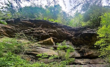 Soddy Daisy, TN - Rock cliffs on the Big Soddy Creek Gulf trail