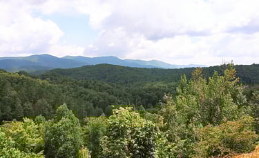Tellico Plains TN - view of Blue Ridge Mtns at Caney Branch Overlook on Cherohala Skyway