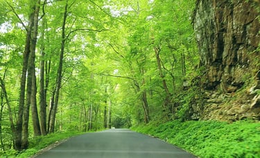 Tellico Plains TN - Hwy 68 thru the beautiful Cherokee National Forest