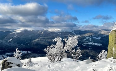 crètes vosgiennes enneigées vallée de Munster