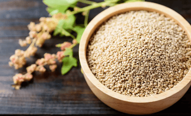 Quinoa – The Complete Protein Grain